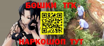прущие грибы Тулун