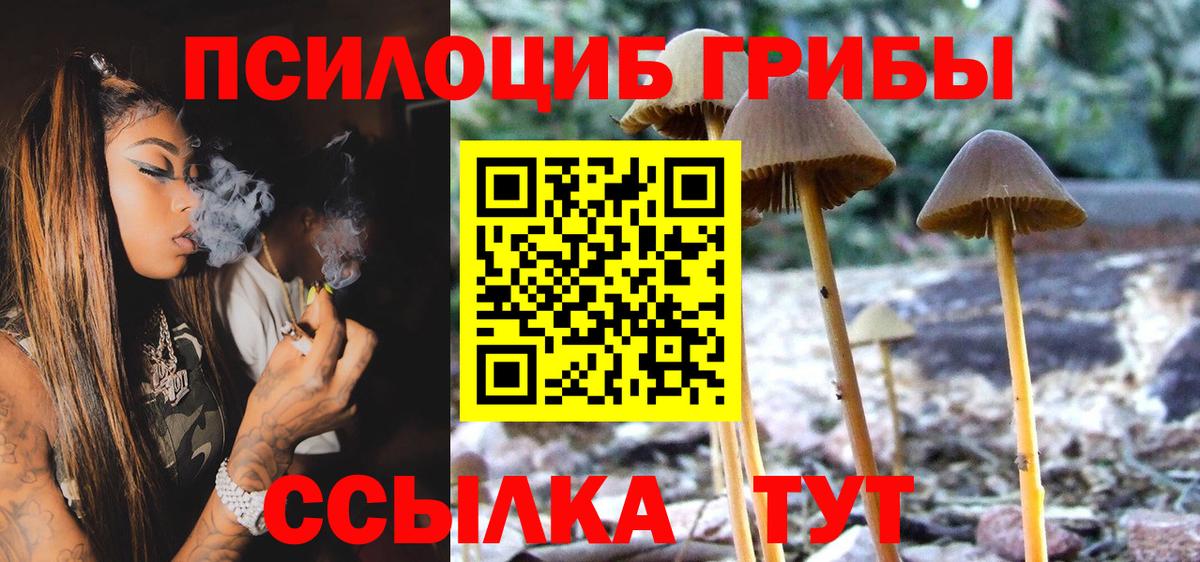 Псилоцибиновые грибы Cubensis  Вход с VPN  Северобайкальск 